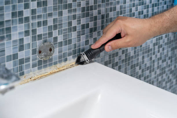 Best Insurance-Related Mold Remediation in Marshall, MN